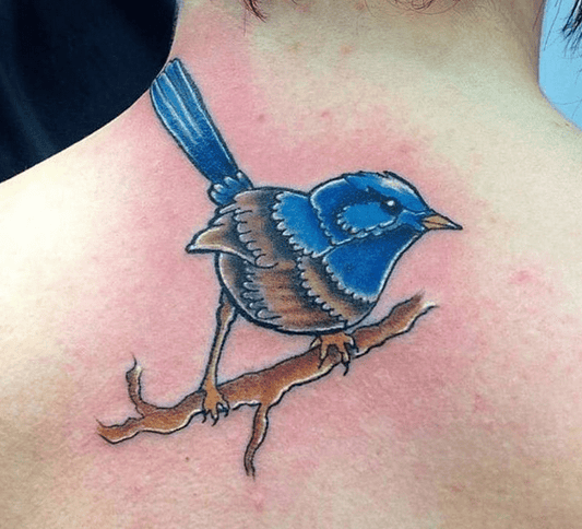 Bird tattoo design - TATTOO