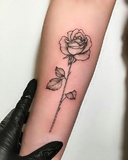 Rose tattoo design - TATTOO