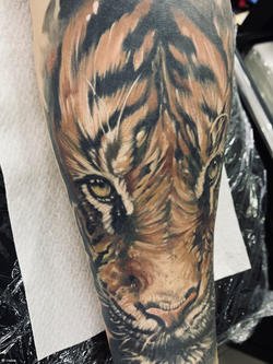 Tiger tattoo design - TATTOO